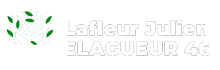 elagage-lafleur-julien-elagueur-46